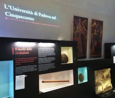 museo medicina Padova