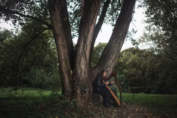 Sophie The Harp musica irlandese a Padova