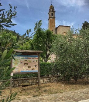 visita ad Arquà Petrarca Colli Euganei - Festa dell'Olio Novello