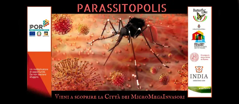 Parassitopolis Esapolis museo degli insetti di Padova