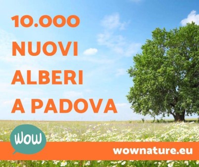 WOWnature Padova riforestazione urbana a Padova